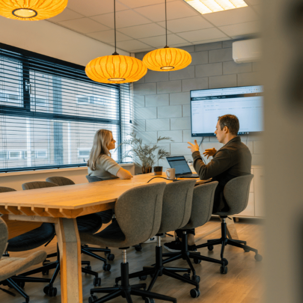 Meeting_uitleg_met_handgebaar_staand