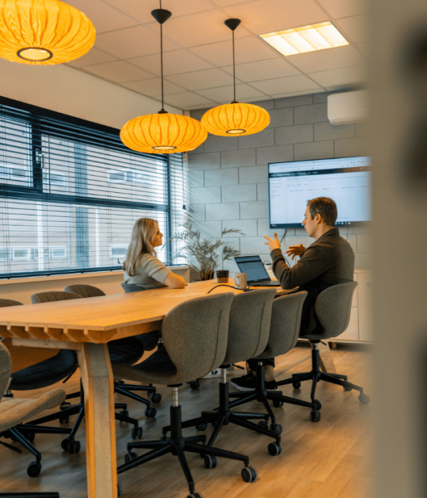 Meeting_uitleg_met_handgebaar_staand